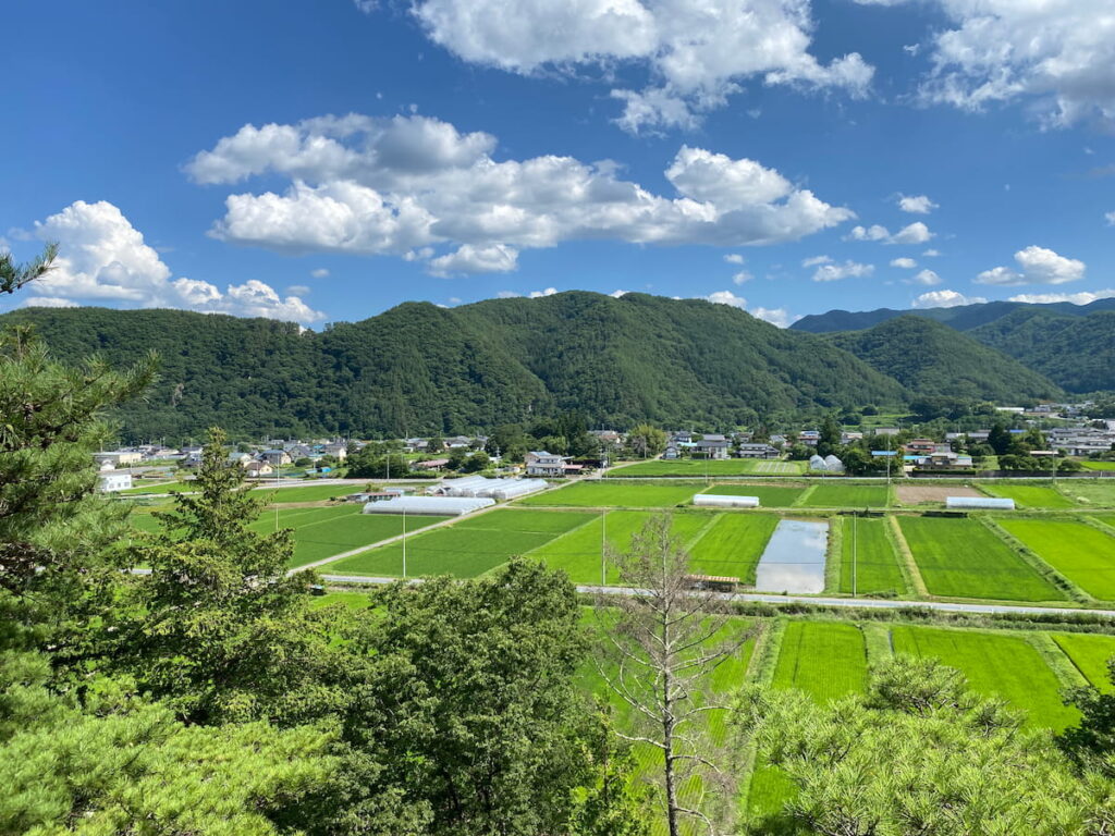 長野県上田市、夏の青空と緑の田園・山並みを望む実景写真(筆者撮影)