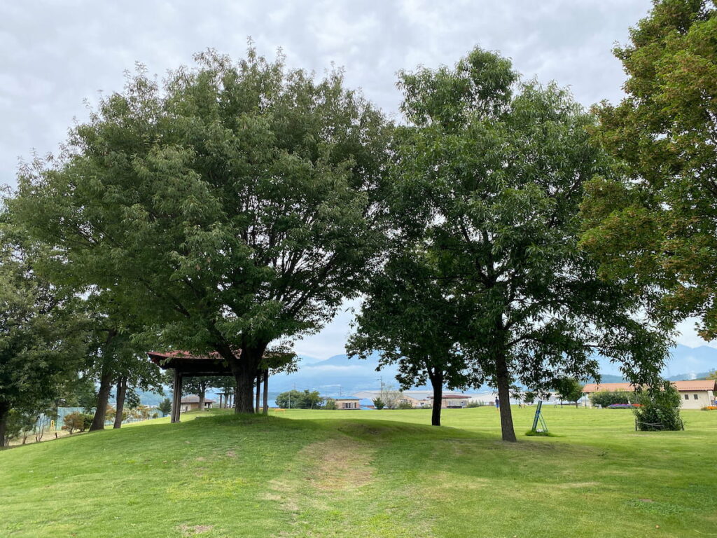 上田市丸子ベルパークの緑豊かな広場と木々の風景。静かで落ち着いた住宅地の暮らしをイメージできる写真