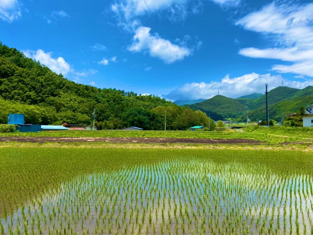 上田市内真田の田園の写真（筆者撮影）